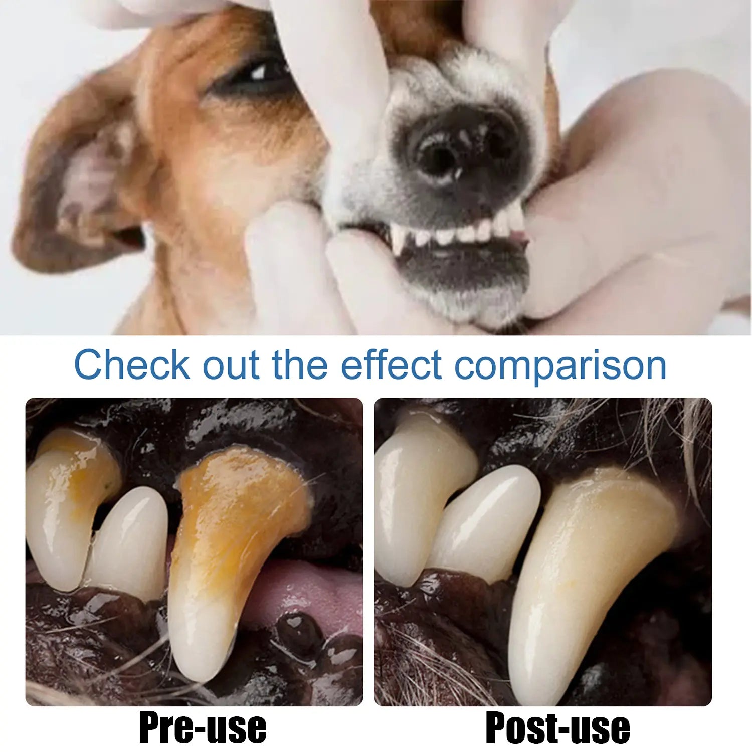 Truerelief PET Dog Oral Care Spray, Vet-Recommended Dog Oral Care Products, No-Brushing Solution for Fresh Breath, Plaque Soften & Tartar Reduction, Gum Redness & Infection Relief, Cleaner Teeth